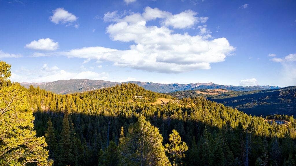 Big Sky MT 59716 - 12