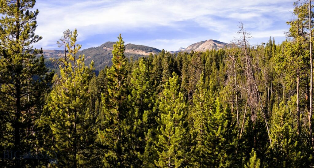 Big Sky MT 59716 - 13