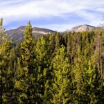 Big Sky MT 59716 - 13