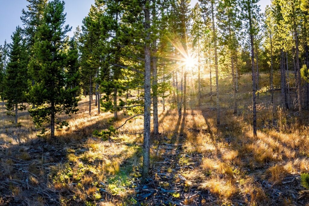 Big Sky MT 59716 - 15