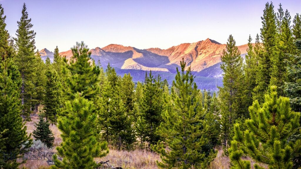 Big Sky MT 59716 - 16