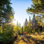 Big Sky MT 59716 - 18