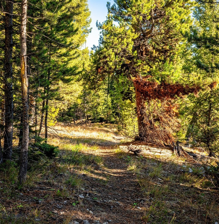 Lot 2 Wheatgrass Meadows