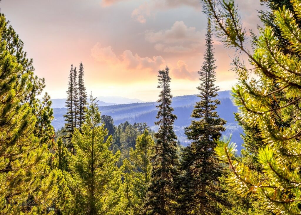 Big Sky MT 59716 - 19