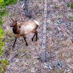 Big Sky MT 59716 - 20