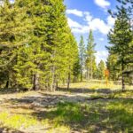 Lot 2 Wheatgrass Meadows