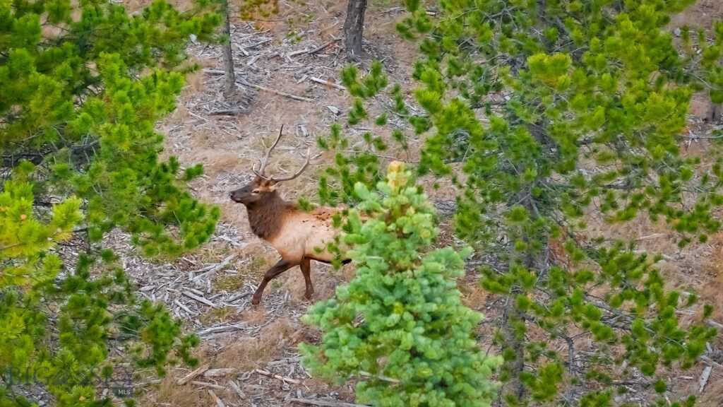 Lot 2 Wheatgrass Meadows