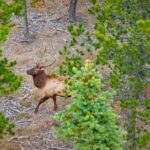 Lot 2 Wheatgrass Meadows