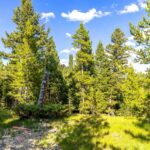 Big Sky MT 59716 - 3