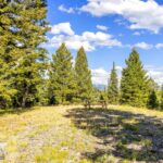 Lot 2 Wheatgrass Meadows