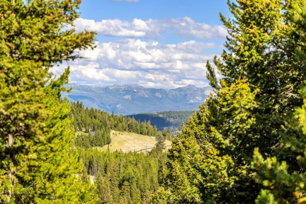 Big Sky MT 59716 - 4