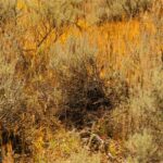 Lot 20 Upper Whitefish Drive