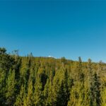 Big Sky MT 59716 - 4