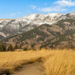 Bozeman MT 59715 - 1