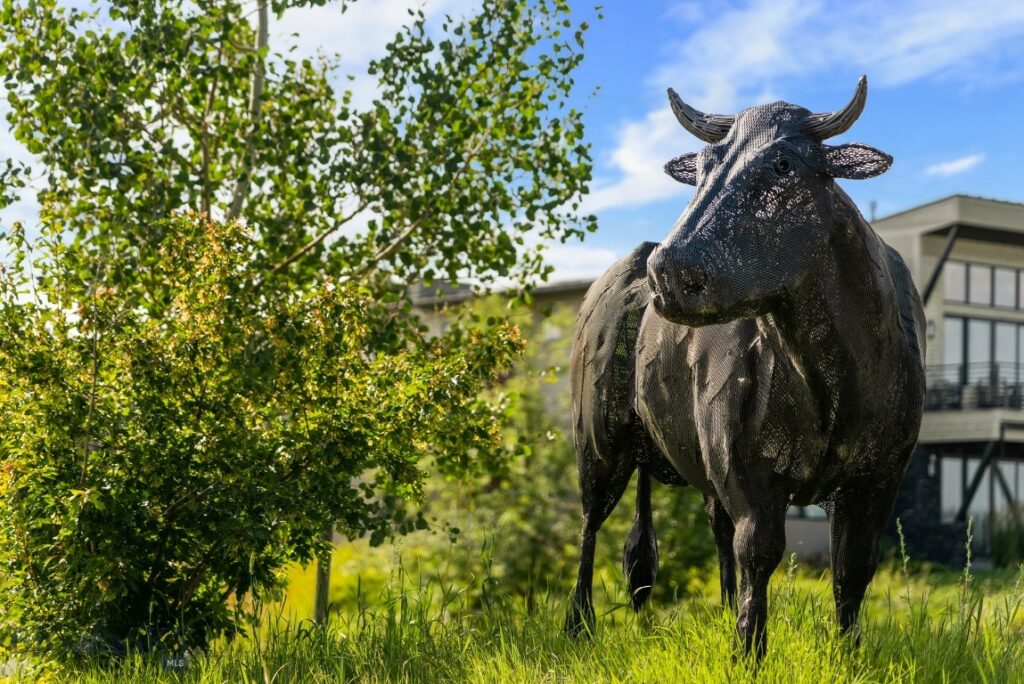 Bozeman MT 59718 - 10