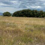 Bozeman MT 59718 - 1