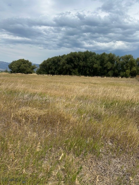 Bozeman MT 59718 - 1