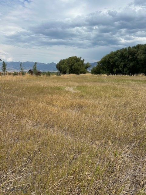 Lot 2A Bison Trail