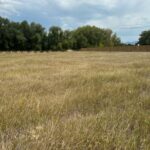 Bozeman MT 59718 - 3