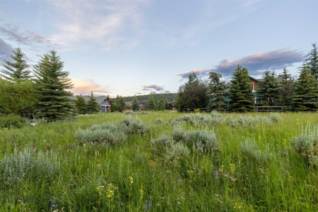 Lot 3 Cutthroat Trout