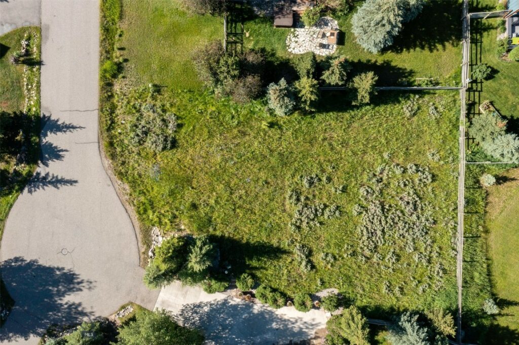 Lot 3 Cutthroat Trout