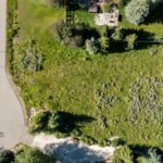 Lot 3 Cutthroat Trout