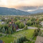 Lot 3 Cutthroat Trout