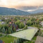 Lot 3 Cutthroat Trout