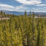 Lot 3 Highlands West