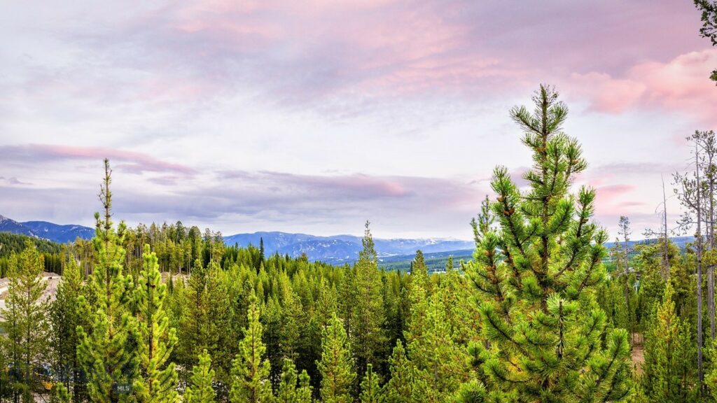 Big Sky MT 59716 - 4