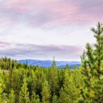 Big Sky MT 59716 - 4