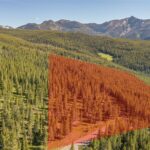 Lot 3 Lost Trails Road