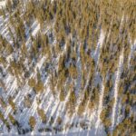 Big Sky MT 59716 - 3