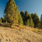 Lot 3 Upper Whitefish Drive