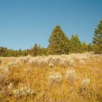 Lot 3 Upper Whitefish Drive