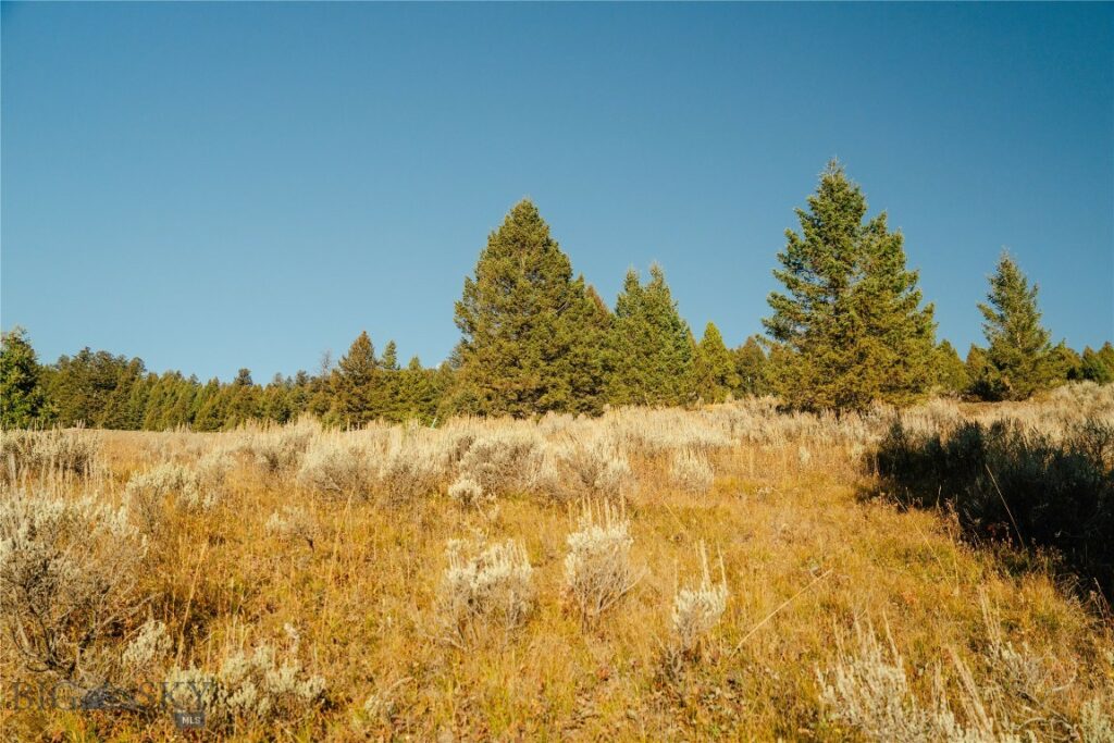 Big Sky MT 59716 - 5