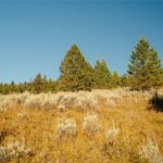 Big Sky MT 59716 - 5