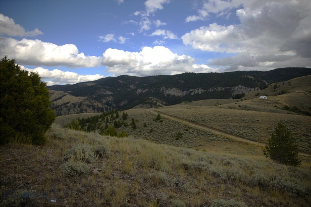 Lot 331 Lone Wolf Trail