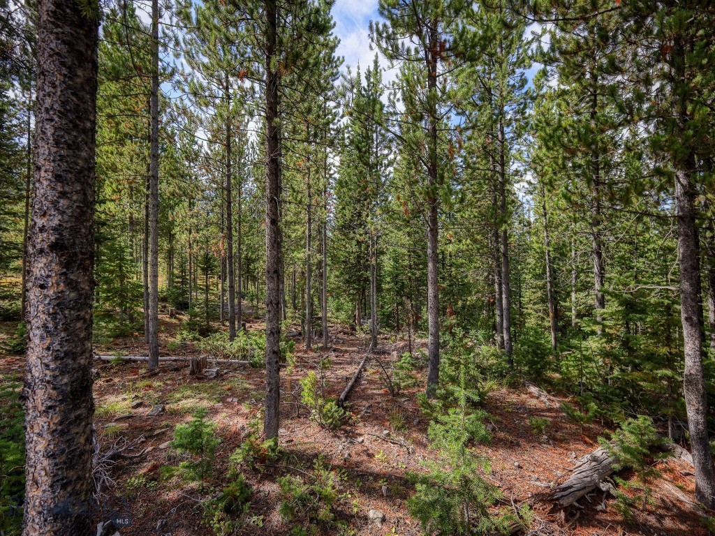 Lot 34 Mountain Valley Trail