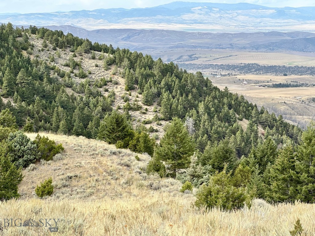 Three Forks MT 59752 - 12