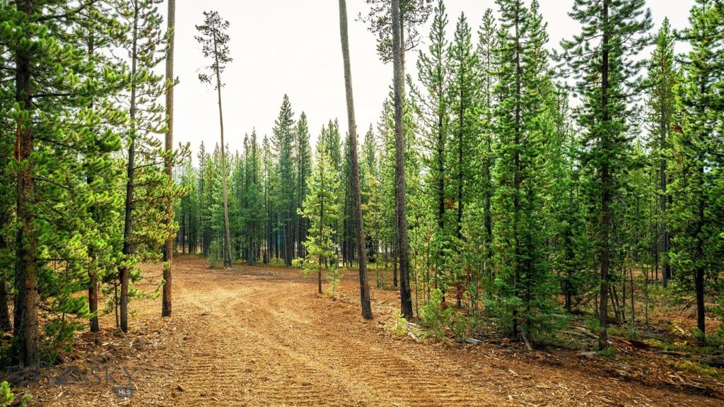 Big Sky MT 59716 - 3