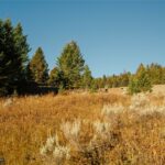 Lot 4 Upper Whitefish Drive