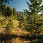 Lot 4 Upper Whitefish Drive