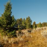 Lot 4 Upper Whitefish Drive