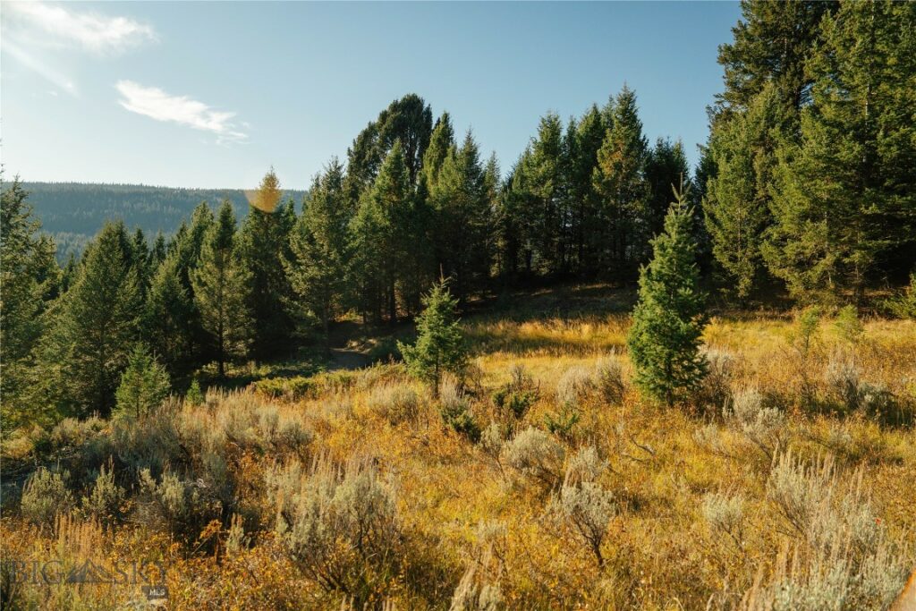 Big Sky MT 59716 - 5