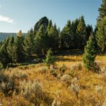 Big Sky MT 59716 - 5