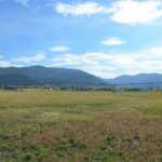 Bozeman MT 59718 - 6