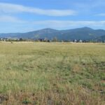 Bozeman MT 59718 - 5