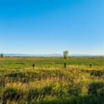 Belgrade MT 59714 - 3