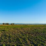 Lot 5 Penwell Bridge Farm